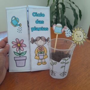 Lapbook ciclo de vida de uma planta
